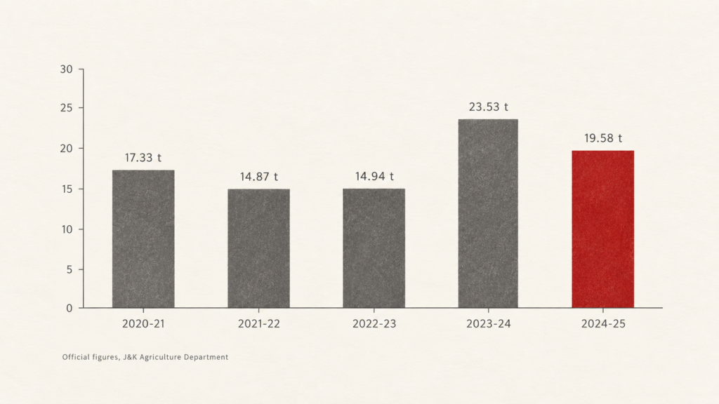 Bar chart of official Kashmir saffron production from 2020-21 to 2024-25 in metric tonnes.